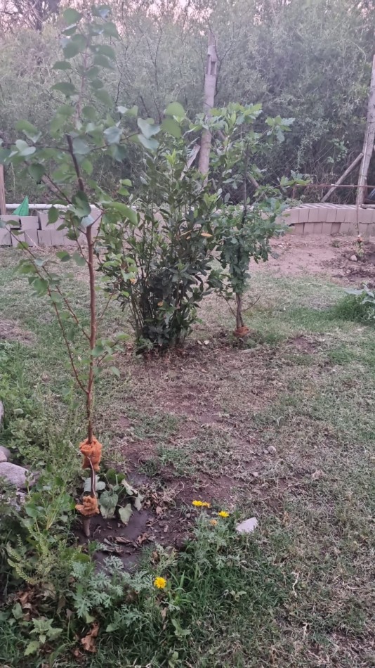 Lote 570 m² con Casa + Departamento - Villa de la Quebrada