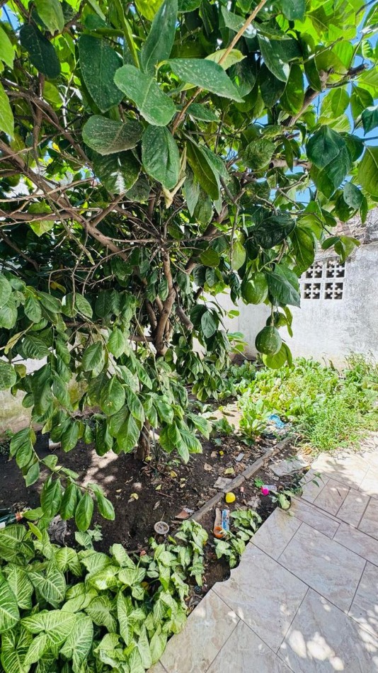 Gorriti 3114 William Morris PH al Fondo en Dos Plantas - Funcional y con Gran Potencial