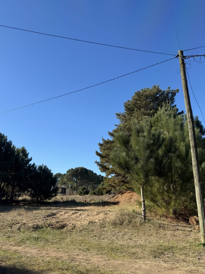 Lote Arbolado- Nueva Atlantis - Partido de la Costa - El Ancla y Alberdi